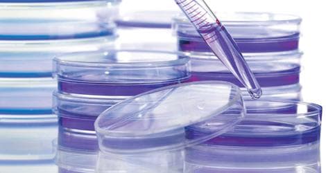 A photo of tools used in a lab.