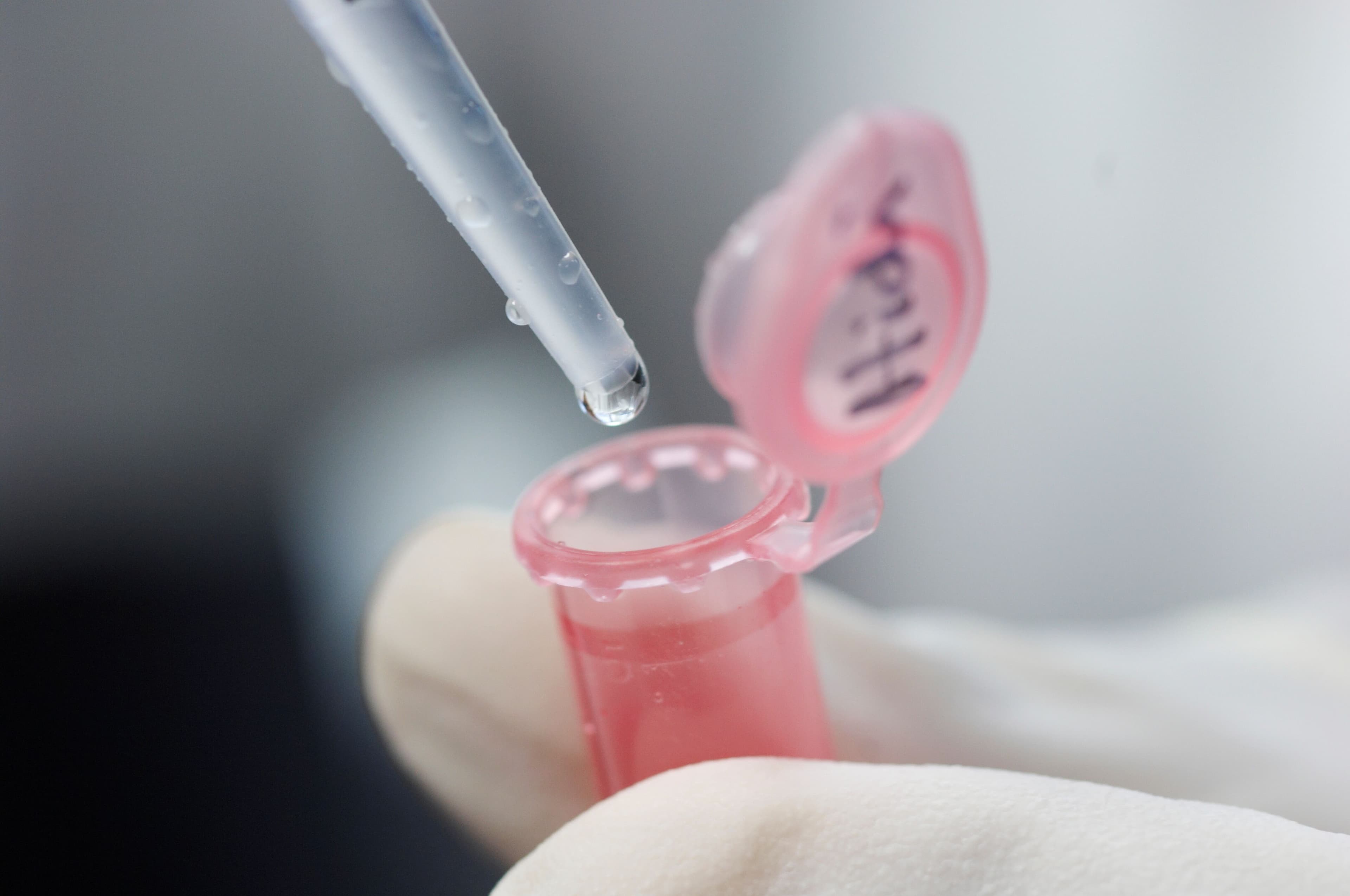 A pipette releasing a clear liquid into a pink plastic test tube.